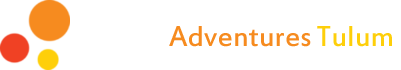 Dive Adventures Tulum Logo